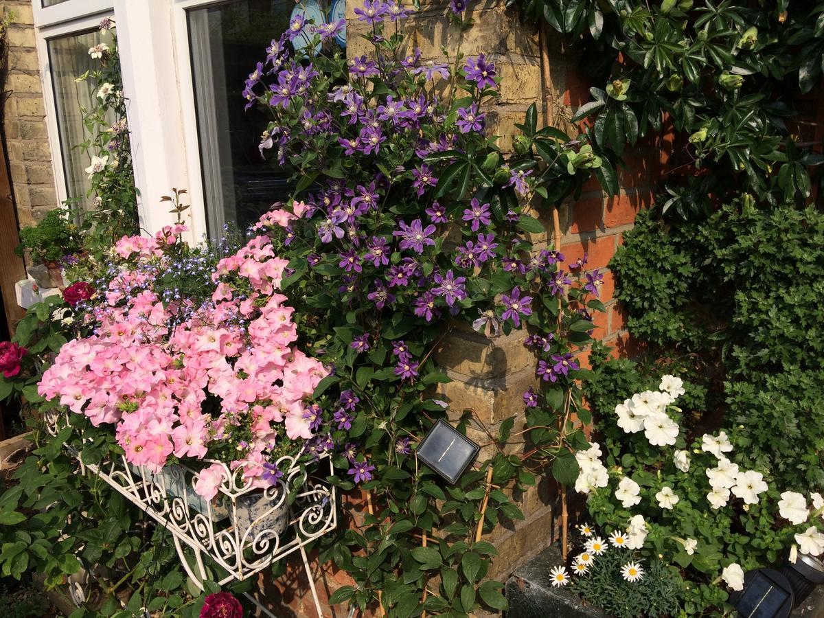 The Terrace Bed and Breakfast Iffley Εξωτερικό φωτογραφία